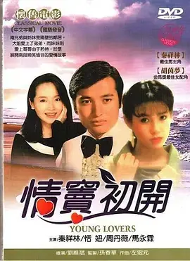情窦初开海报