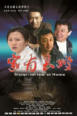 家有长嫂海报