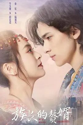 族长的赘婿海报