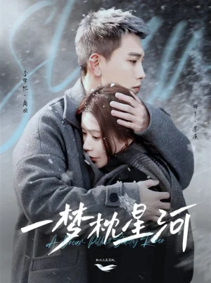 一梦枕星河(星河故人归)海报