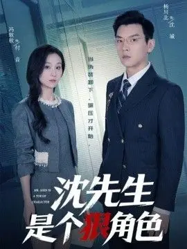 沈先生是个狠角色海报