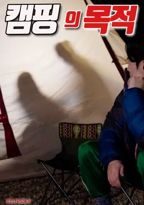 露营的目的海报