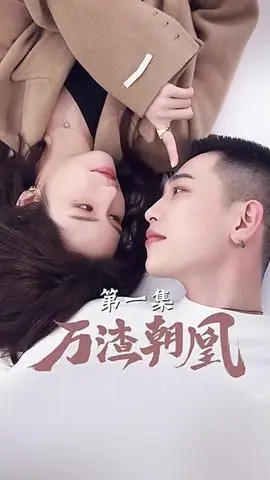 万渣朝凰海报