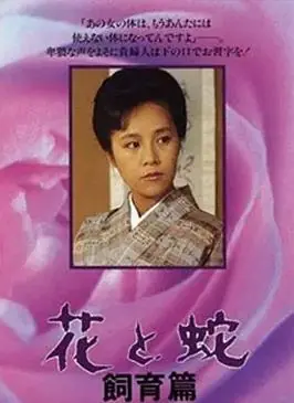 花与蛇饲育篇海报