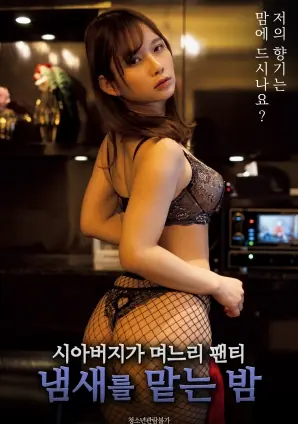 公公闻儿媳内裤气味的夜晚海报