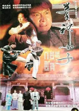 拳神小子海报