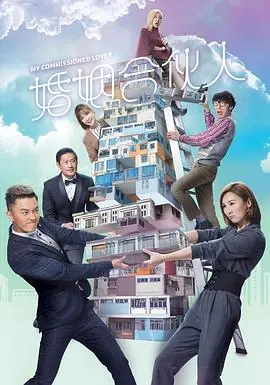 婚姻合伙人(国语)海报