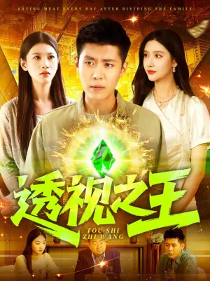 透视之王海报