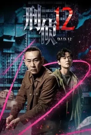刑侦12海报