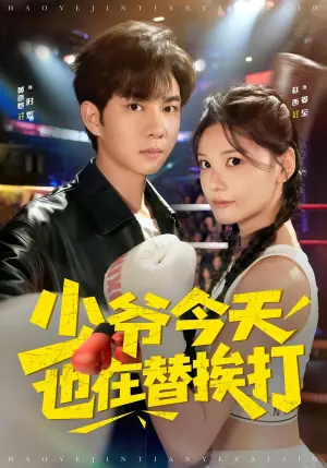 少爷今天也在替挨打海报