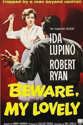 狂国劫后花海报