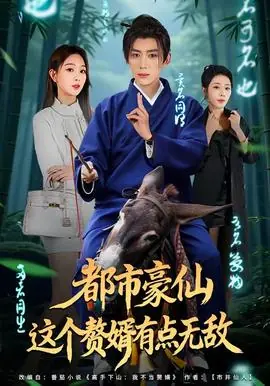 都市豪仙,这个赘婿有点无敌海报