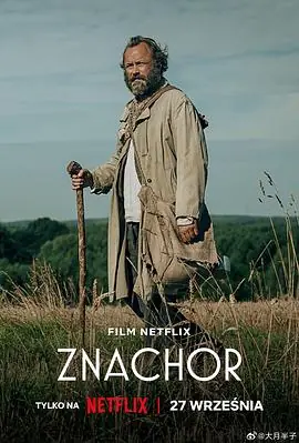 被遗忘的爱Znachor海报