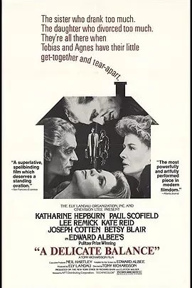 微妙的平衡海报