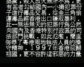 猛龙特警之天罗地网海报