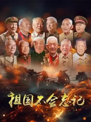 祖国不会忘记海报