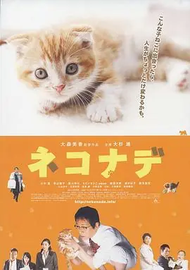 小猫奇缘ネコナデ海报