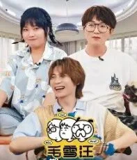 毛雪汪加更版海报