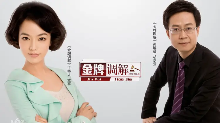 金牌调解2026海报