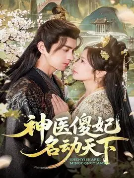 神医傻妃名动天下海报