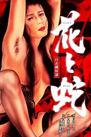 花与蛇白衣绳奴隶海报