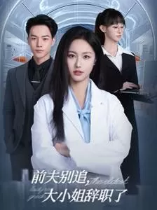 前夫别追大小姐辞职了海报