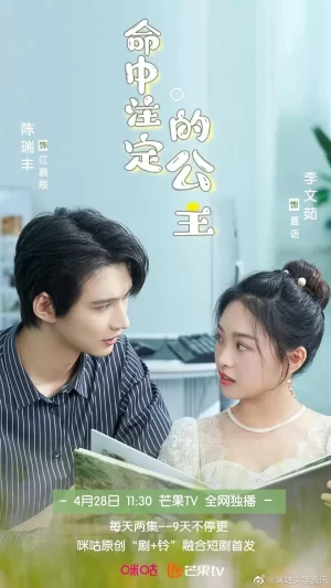 命中注定的公主海报