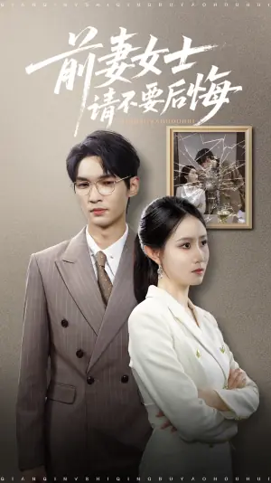 前妻女士请不要后悔海报