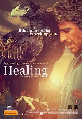 愈合Healing海报