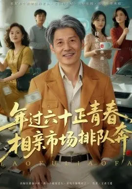 老夫聊发少年狂,保姆成群很正常海报