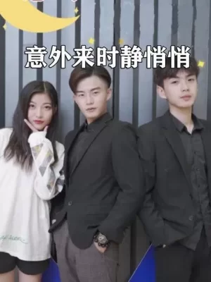 意外来时静悄悄海报