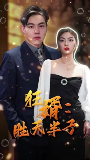 狂婿:胜天半子海报
