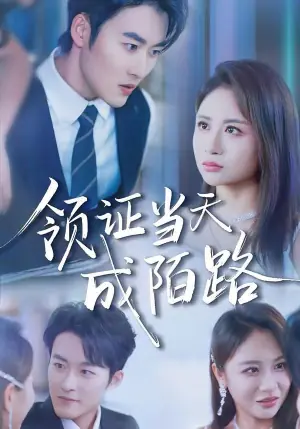 领证当天成陌路海报