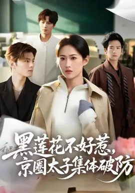 黑莲花不好惹,京圈太子集体破防海报