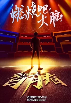 最强大脑第五季海报