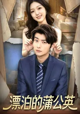 漂泊的蒲公英海报