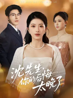 沈先生,你的后悔太晚了海报