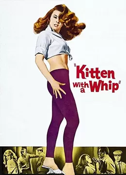 性感小野猫海报