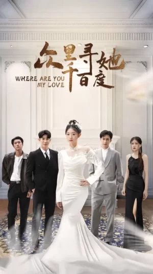 众里寻她千百度海报