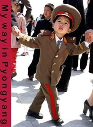 我的平壤之路海报