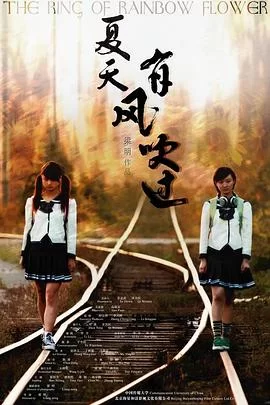 夏天,有风吹过海报