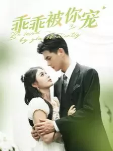 乖乖被你宠海报