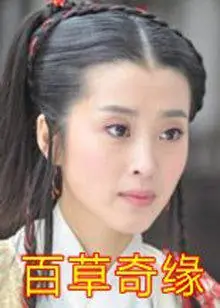 百草奇缘海报