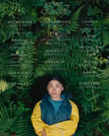 温柔的叶子海报