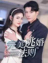 完美逃婚法则海报