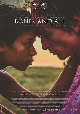 骨及所有BonesandAll海报