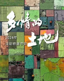 2024多情的土地海报
