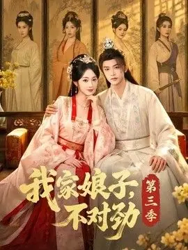 我家娘子,不对劲第三季海报