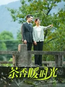 茶香暖时光海报