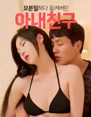 失察的妻子之不伦密友海报